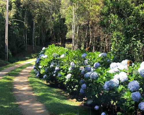 Imagem 14 de 21 de Terreno Á Venda No Condomínio Residencial Chapada Das Araucárias, Rancho Queimado Sc - Te00026 - 70284281