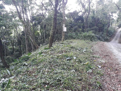Imagem 9 de 14 de Terreno Bem Localizado - Possibilidade De Permuta Parcial.