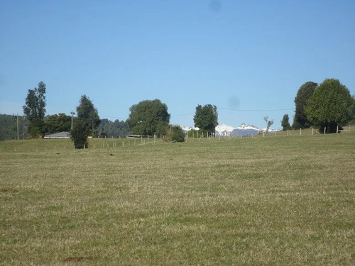 Ganaderas En Venta En Lago Ranco