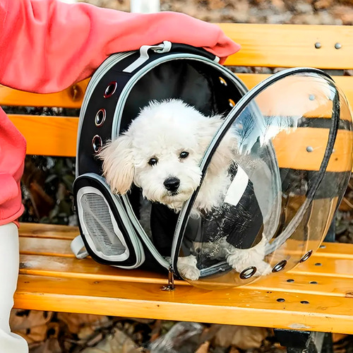 Bolso Transportador Mascotas Gato Perro Visor Rigido Mochila Rosa