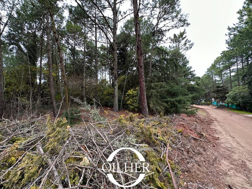 Lote En Venta! Zona Golf Ubicado En Cariló. Ñandu Y Gomero.