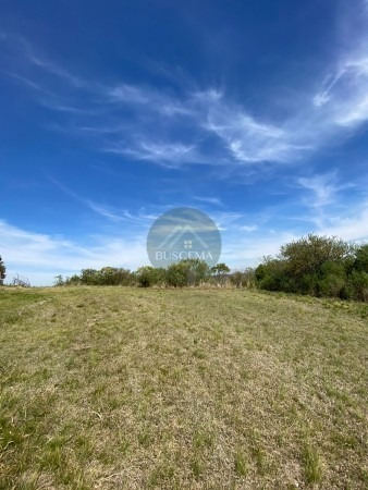 Hermoso Terreno Alto En Barrio Colinas Del Golf
