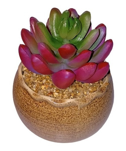 Adornos Decorativos Con Piedras Planta Echeveria