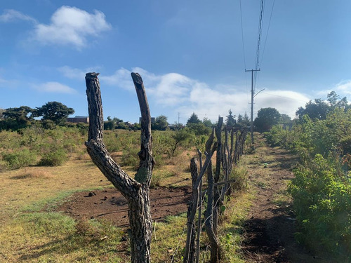 Hectáreas En Venta En Chiquimitío (tarímbaro)