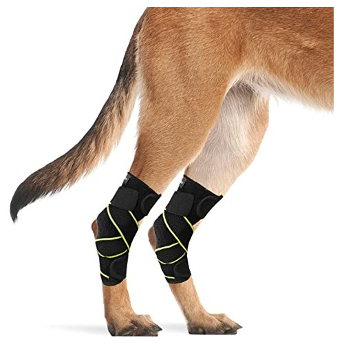 Petnedo Perro Canine Rear Leg Hock Brace Conjunto, Qw6ve