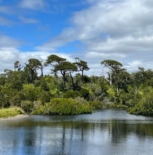 Mención Rustica En Rivera Del Rio Notue Con Lago Huillinco