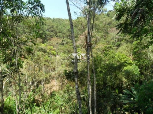Imagem 5 de 13 de Terreno- Petrópolis, Araras - 32212