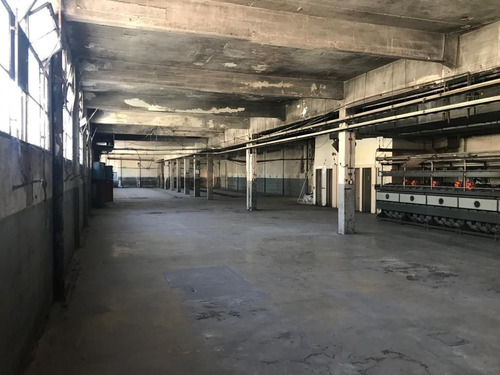 Imagen 8 de 14 de Depósito - Ciudadela