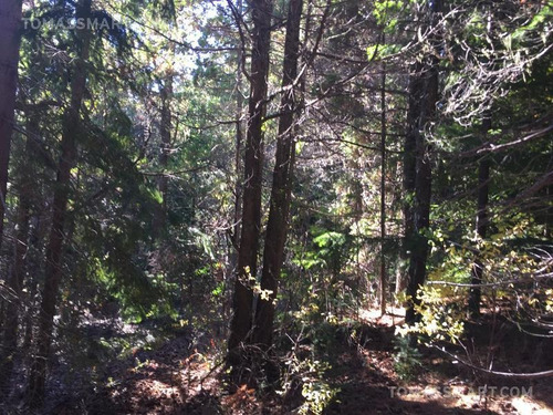 Imagen 7 de 11 de Terreno - Bariloche