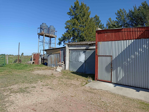 Venta Chacra En Manga 4 Has Con Casa Y Frutales