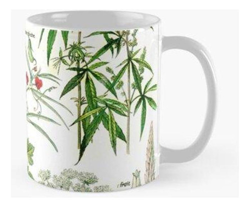 Taza Arte Botánico Vintage De La Pared Plantas Peligrosas Ca