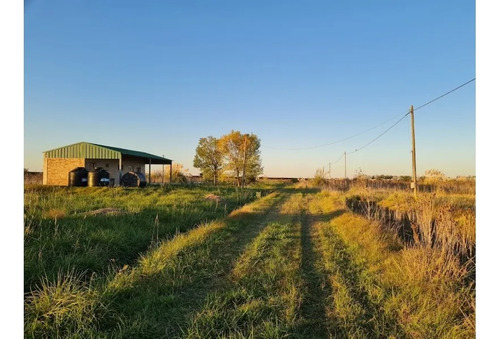 Terreno De 1,5ha Con Casa