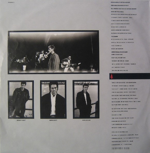 Vinilo Bryan Adams - Into The Fire (Usado)