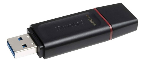 Pendrive Kingston De 256 Gb