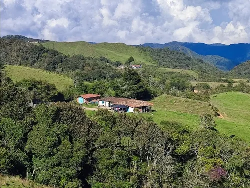 Finca En Venta Carmen De Viboral, Vía La Unión Antioquia 50 Cuadras.