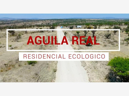 Imagen 1 de 10 de Terreno En Venta Carretera San Miguel Allende A Guanajuato