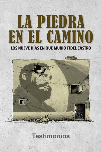 Libro: La Piedra Camino: Los Nueve Días Que Murió Fi