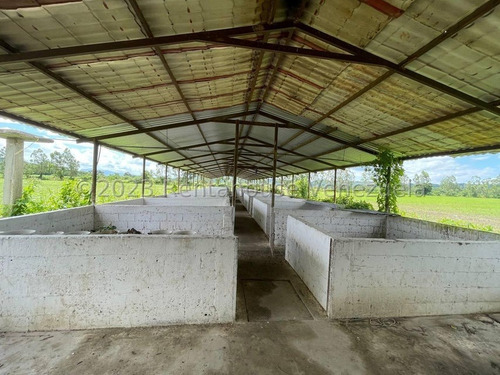 Carlos Colmenarez Felx 23-33543 Vende Finca Con 10 Hectareas Y 4.642 Mts Pozo Profundo De 80 Metros, Bomba De 14 Hp Luz Trifasica Laguna De 50 Por 40 Metros Cochinera De 30 Corrales