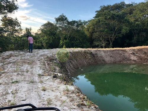 Imagem 7 de 24 de Excelente Sítio À Venda Com Ponto Comercial - Distrito De Piramboia - Anhembisp - 00038