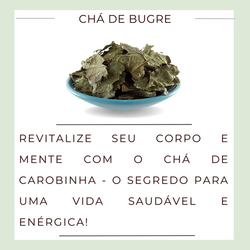 Kit 20 Chás Bugre Legítimo Casearia Sylvestris