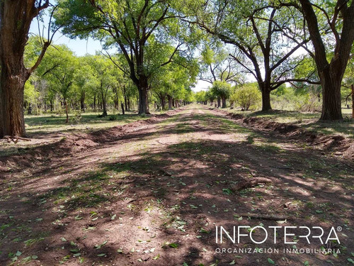 Imagen 10 de 14 de Venta De Lotes Calamuchita