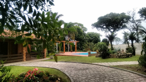 Chácara Em Campo Largo ( Bairro Felpudo,próximo Posto Quinta