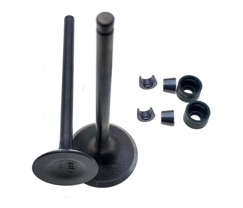 comprar Válvulas De Admisión Y Escape P\u002Fvento Proton 200 Nitrox 200
