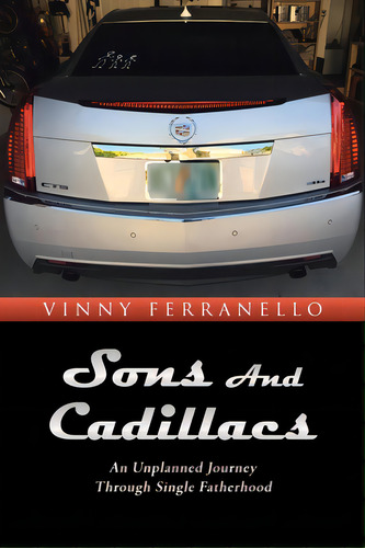 Sons And Cadillacs: An Unplanned Journey Through Single Fatherhood, De Ferranello, Vinny. Editorial Page Pub, Tapa Blanda En Inglés