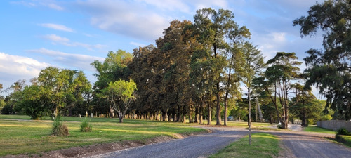 Imagen 9 de 12 de Terreno Lote En Venta En Alejandro Petion Cañuelas - Financiacion - Oportunidad