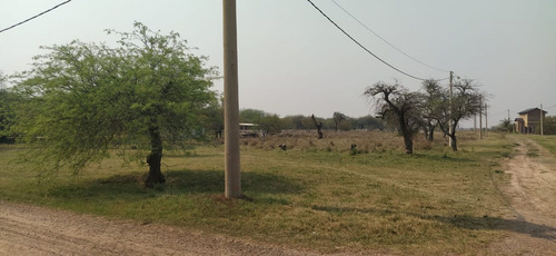 Imagen 2 de 5 de Terreno En Delta De Bucare Monje, Metros Del Rio