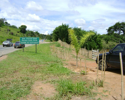 Imagem 1 de 9 de Sítio À Venda Em Jardim Monte Verde - Si000914