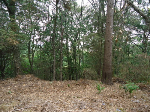 Imagen 5 de 6 de Terreno En Venta En Loma Tlalmimilolpa