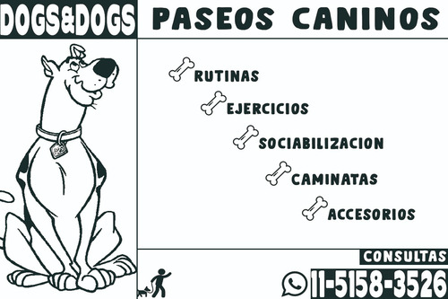 Paseador De Perros Parque Patricios, San Cristobal, Boedo