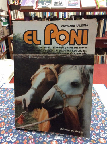 El Poni Por Giovanni Falsina Cría Cuidado Animales Caballos