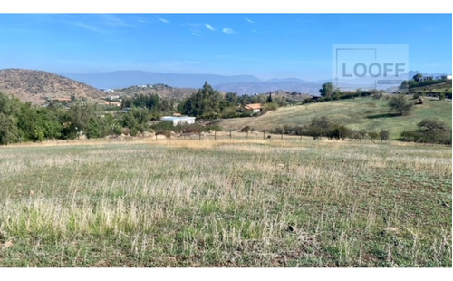 Venta Sitio Con Mínima Pendiente En Hacienda Chacabuco - Loo