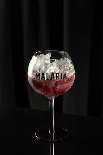 Jägermeister Licor Herbal 700ml + Malaria Gin Black Botella