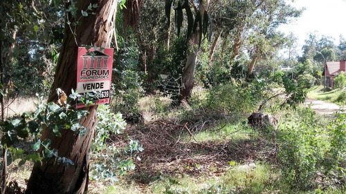 Imagen 5 de 5 de Terreno En Venta - Punta Del Este Marly