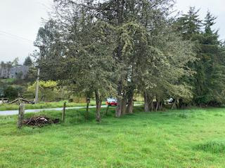 Vendo Lote En  La Calera Via El Codito