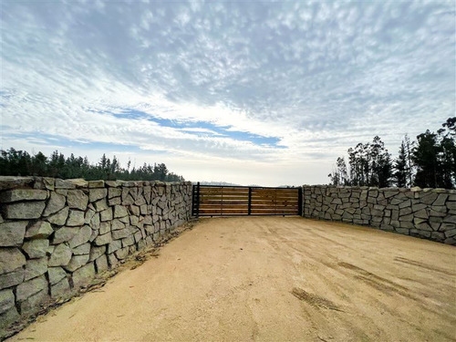 Proyecto Terrenos De 5.000 M2 En Venta - Matanzas