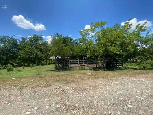 Venta Rancho 94 Hectareas El Otatal Alamo Temapache Veracruz