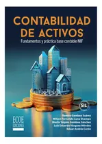 Comprar Libro: Contabilidad De Activos: Fundamentos Y Práctica Base 