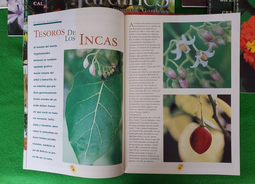 Desde Los Jardines - From The Gardens - Revista (Usado)