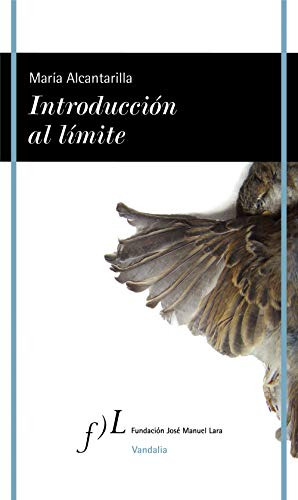 Libro Introduccion Al Limite  De Maria  Alcantarilla Ed: 1