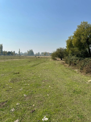Parcelas De 5000 M2 En Sector Quillaimo Camino A Bullileo