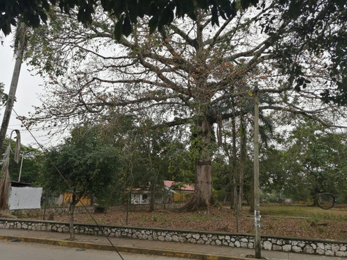 Imagen 8 de 17 de Terreno - La Piragua