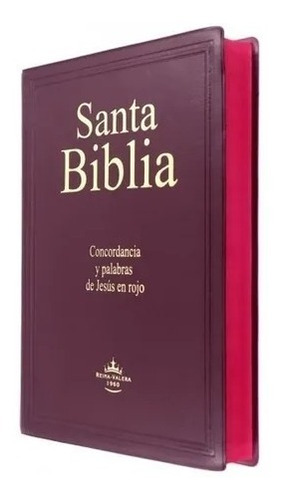 Biblia Reina Valera 1960 Letra Gigante/ Vinil  Vino 