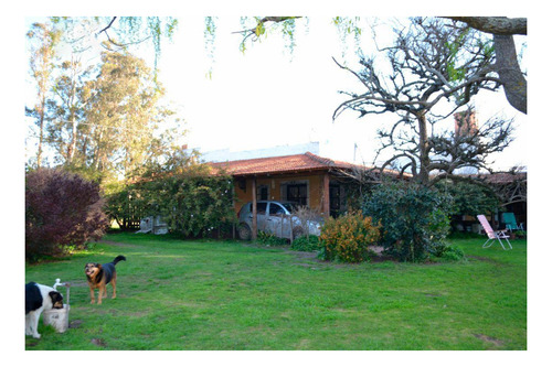 Imagen 12 de 24 de Casa Quinta En Venta - 3 Dormitorios 3 Baño 2 Cocheras - 11500mts2 - Miramar