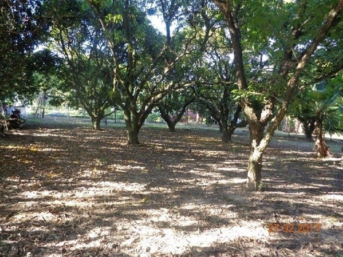 Imagem 11 de 16 de Venda - Sítio Caguassu / Sorocaba/sp - 5014