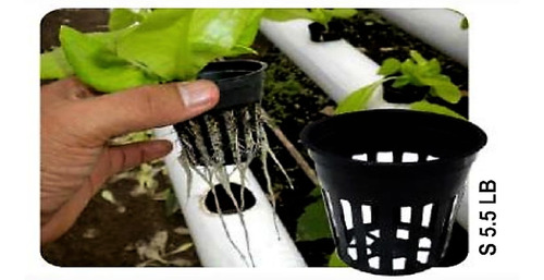 Imagen 3 de 10 de 52 Macetas Hidroponicas Plásticas Negra 5.5