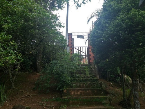 Imagem 30 de 30 de Chacara - 2448 - 34775619